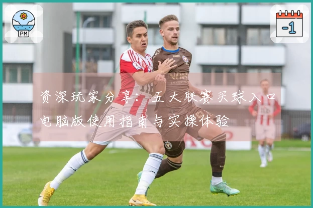 资深玩家分享：五大联赛买球入口电脑版使用指南与实操体验