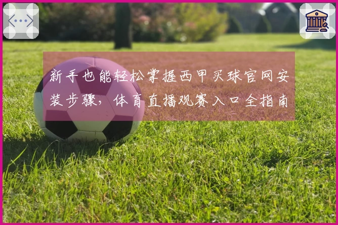 新手也能轻松掌握西甲买球官网安装步骤，体育直播观赛入口全指南
