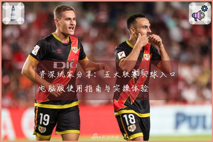 资深玩家分享：五大联赛买球入口电脑版使用指南与实操体验